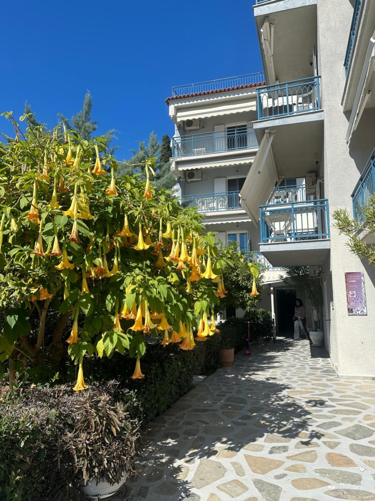Drossinos Studios Poros Town Bagian luar foto