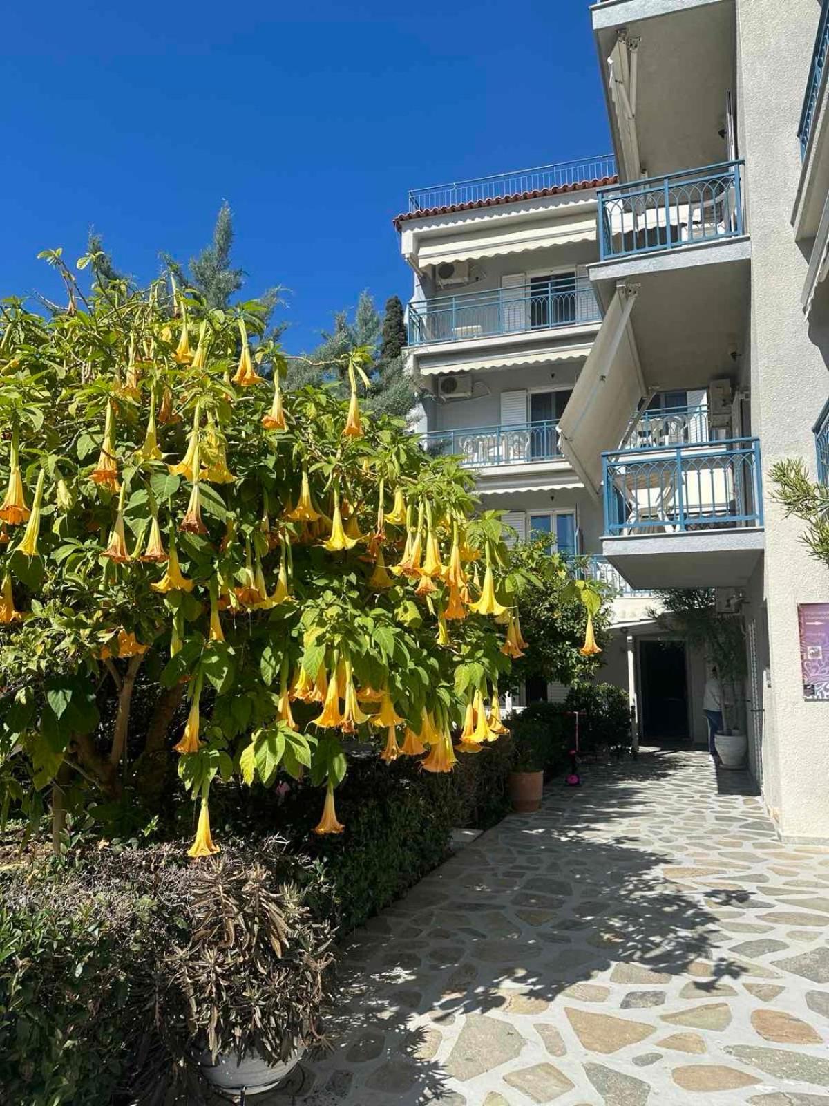 Drossinos Studios Poros Town Bagian luar foto